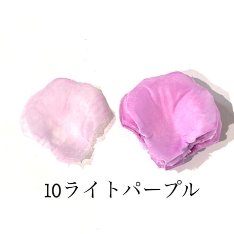 花びらno.10