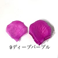 花びらno.9