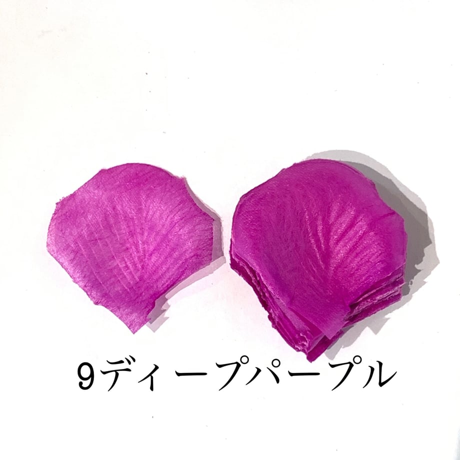 62ed2819a7e5607cffa0b91c