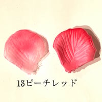 花びらno.13