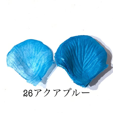 花びらno.26
