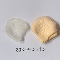 花びらno.30