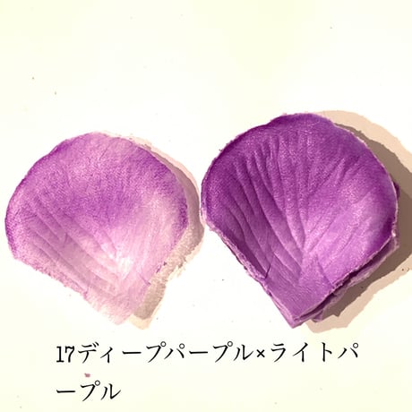 花びらno.17