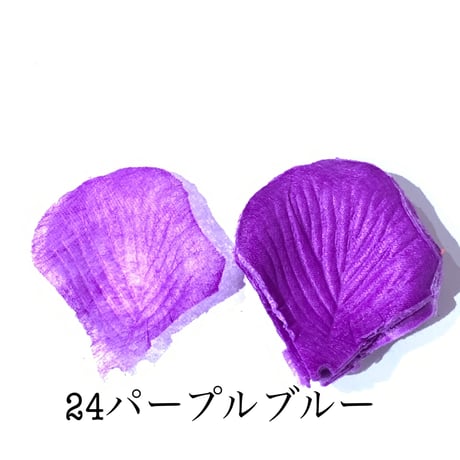 花びらno.24