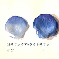 花びらno.16
