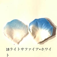 花びらno.18
