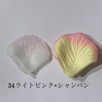 花びらno.34