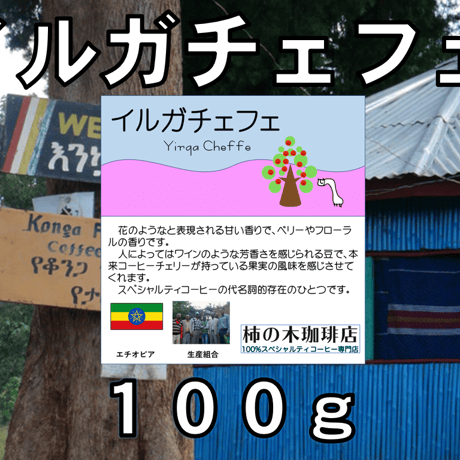【豆or粉】イルガチェフェ（エチオピア）　コンガ農協　トップスペシャルティコーヒー（１００ｇ）