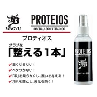 和牛JB　プロティオス　グラブトリートメント 本体150ml　スプレーボトル