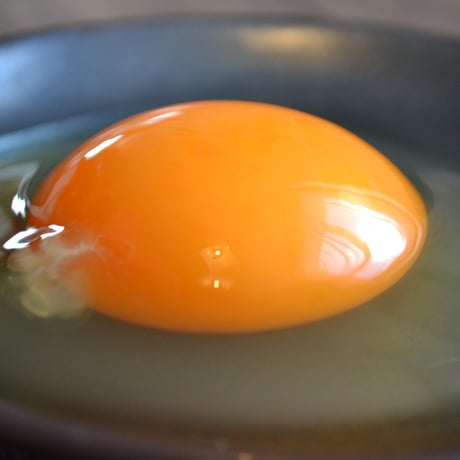 有精卵 中身 ガチョウ 有精卵 食用 15個