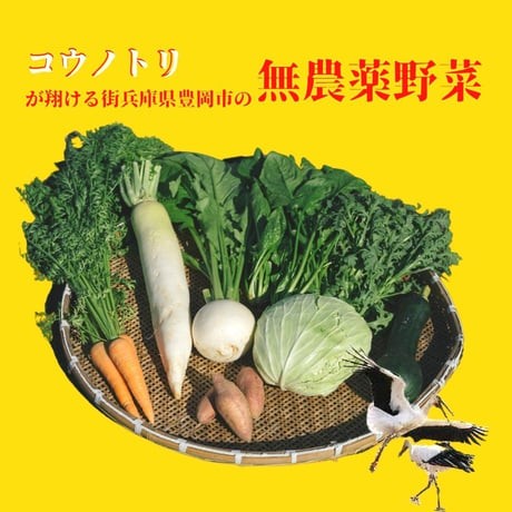 まるいちの無農薬お野菜セット