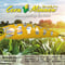 Corn Minnow 200mm 4oz （114ｇ）