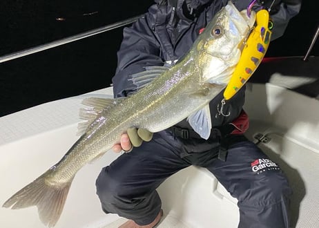 Corn Minnow 200mm 4oz （114ｇ）