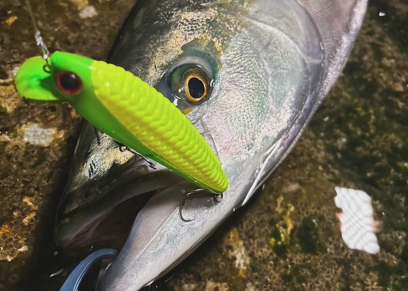 Real Young Corn Minnow 110mm 24g F | Dee Dee De