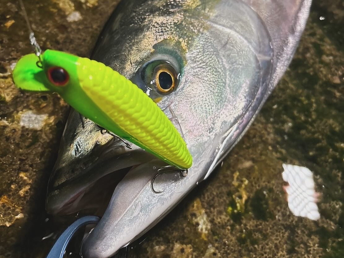 ルアー・フライ DeeDee Designs Young corn Minnow 150mm fit=scale-down,w=1200