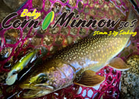【NEW!!】Baby Corn Minnow 50S 3.2g