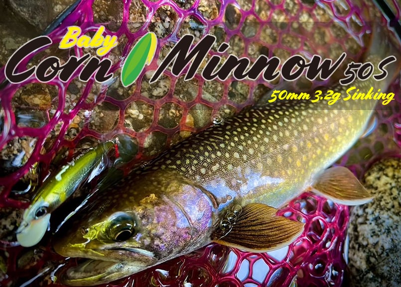 NEW!!】Baby Corn Minnow 50S 3.2g | Dee Dee Designs