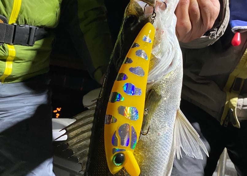 Corn Minnow 200mm 4oz （114g） | Dee Dee Designs