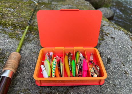 【限定商品】DeeDeeBOX