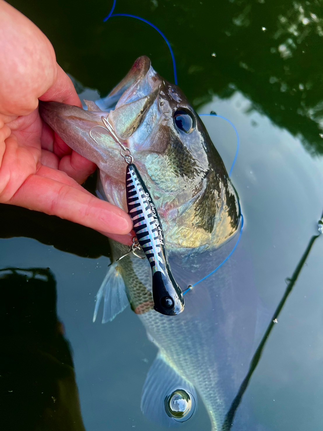 NEW】PumpKing86 86mm7.5g | Dee Dee Designs