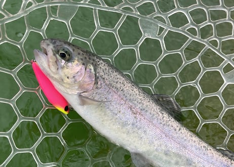 【NEW!!】Baby Corn Minnow 50F 2.3g