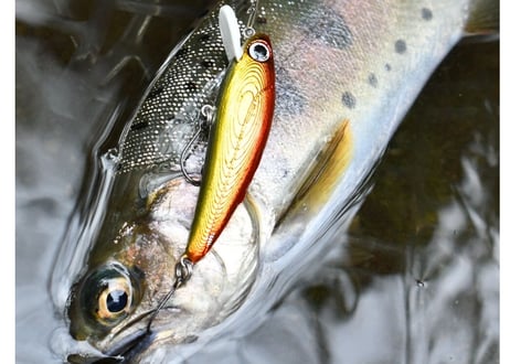 【NEW!!】Baby Corn Minnow 50HS 4.5g