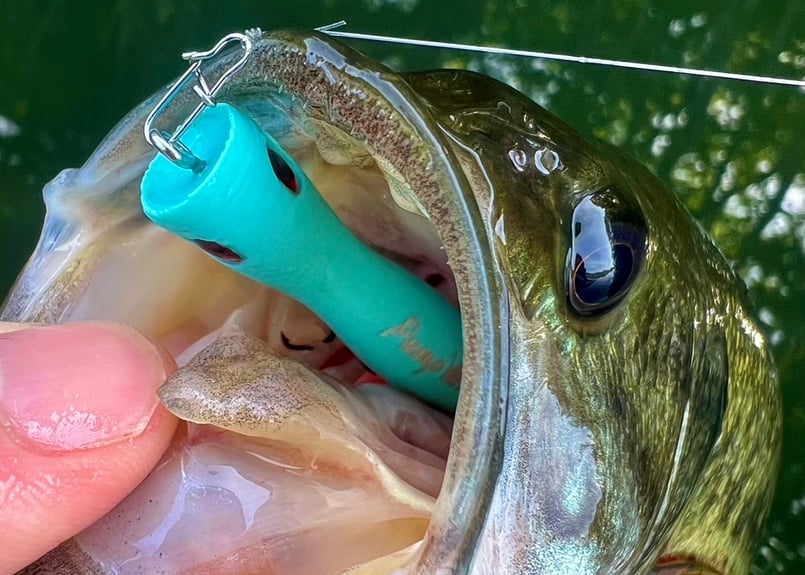 PumpKing60 60mm3.0g | Dee Dee Designs