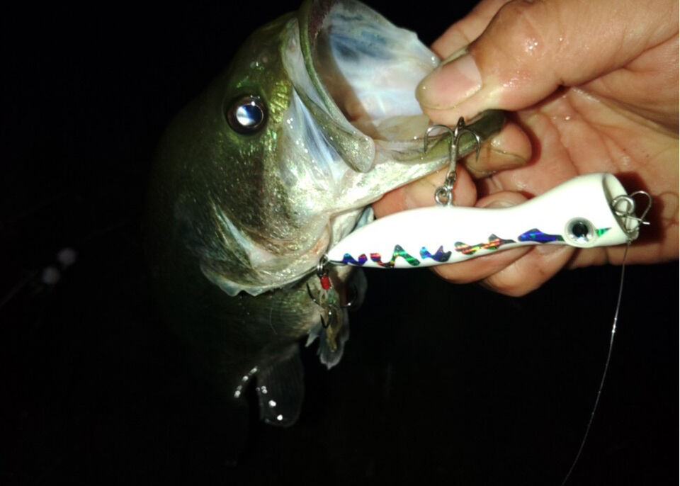 NEW】PumpKing86 86mm7.5g | Dee Dee Designs