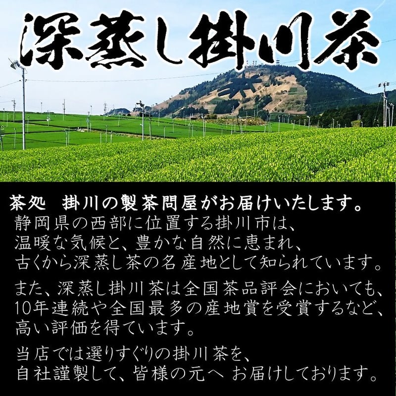 松風 掛川産 深蒸し特上煎茶 | 製茶問屋直売 大浜園