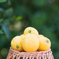 檸檬レモネード　1kg