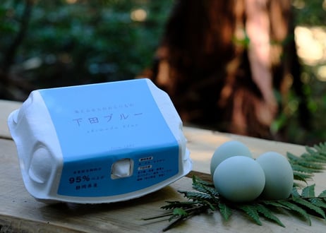 【定期便限定！8%off&送料無料】下田ブルー６個×８パック