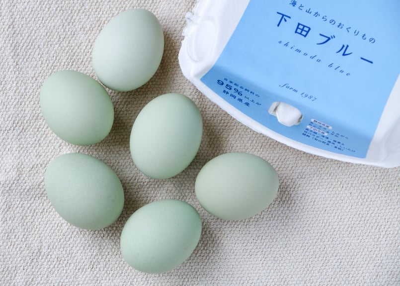 24時間放牧養鶏卵】下田ブルー6個入り | farm1987