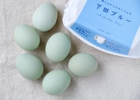 一番人気！【24時間放牧養鶏卵】下田ブルー６個入り×4パック