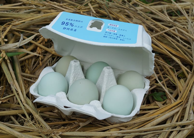 たまこ　切り落とし　4000g KIHARA/SITAKU 4点セット（お玉たて、おろし器、レモン絞り、蓋