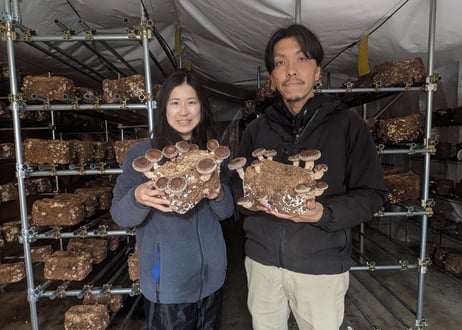 幸せの青い卵「下田ブルー」2パック、「下田しいたけ」400ｇセット