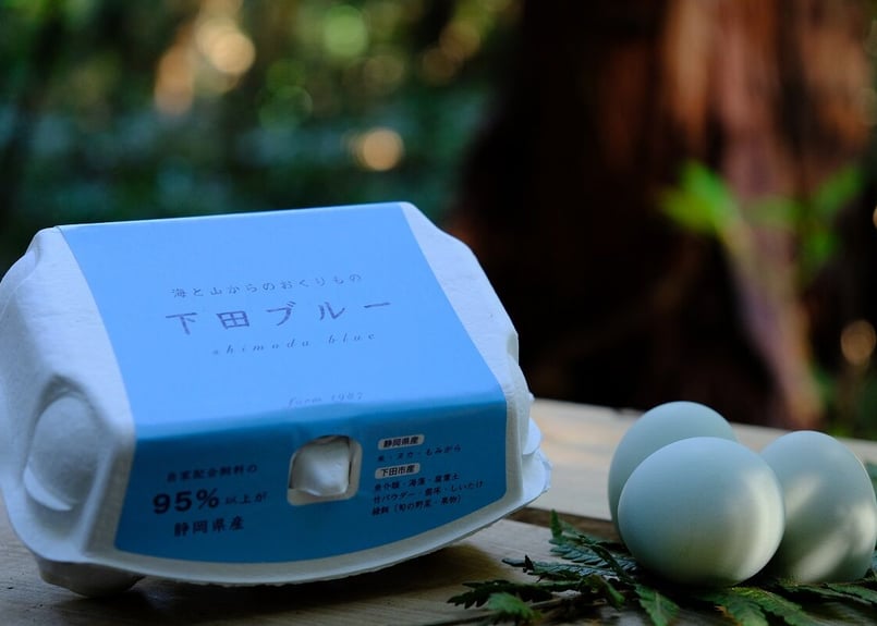 24時間放牧養鶏卵】下田ブルー6個入り | farm1987