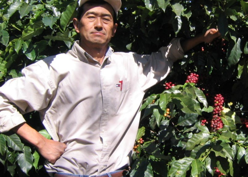 コーヒー生豆　ブラジル　トミオフクダ　5kg 700-1_fcd_geisha_p.jpg