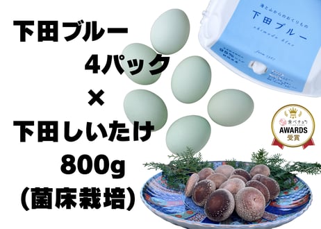 幸せの青い卵「下田ブルー」４パック、「下田しいたけ」800ｇセット