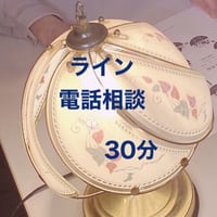 通話相談　30分