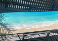 ☆受注制作 レジンアート【沖縄ホヌ】受注制作 ウミガメ 文字入れ可能