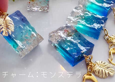 チャーム　【オプション】