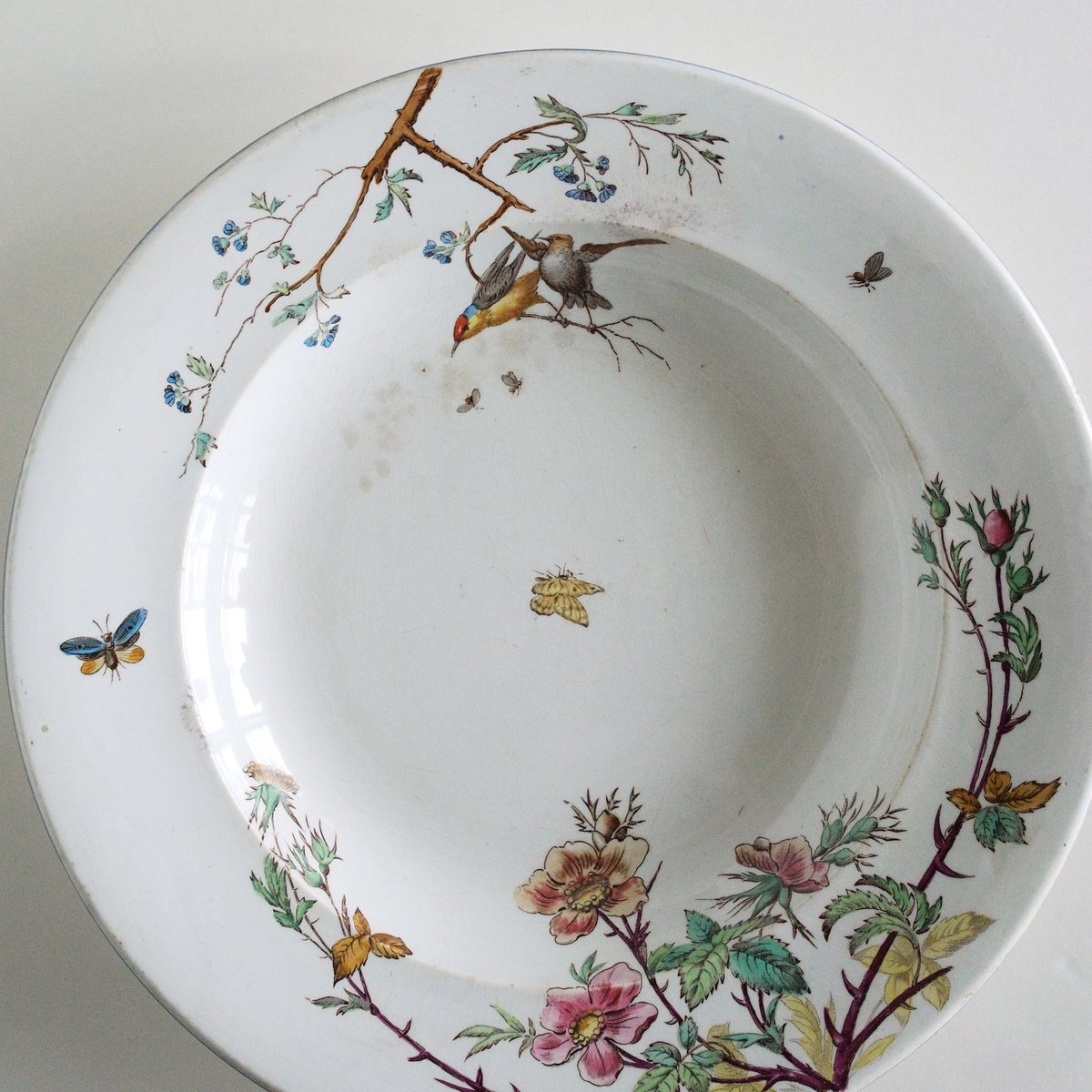 jules vieillard bordeaux 花鳥絵皿 C jules vieillard bordeaux 花鳥絵皿 C | chez Augustins