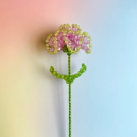 Double color carnation / Purple × Lite green