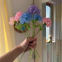 Carnation 1p