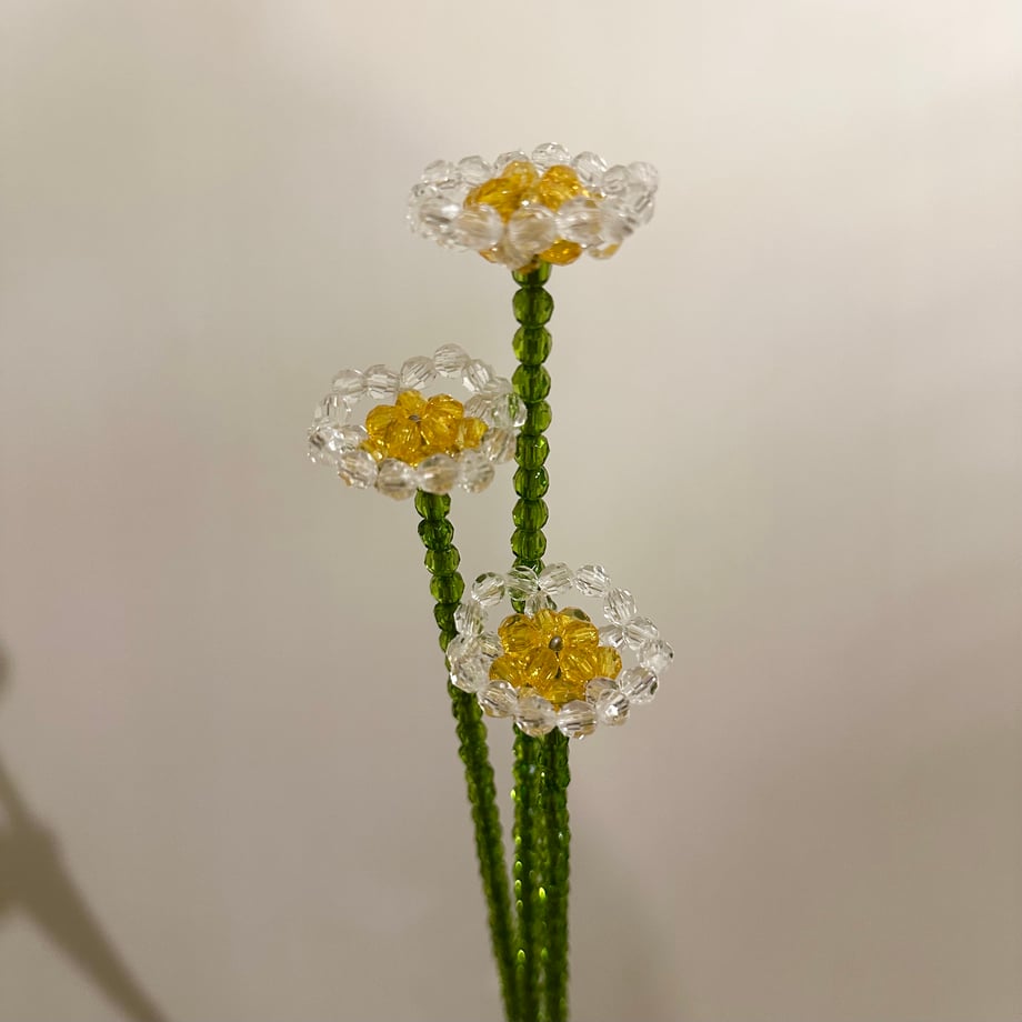 65d9796650f81d482c414835