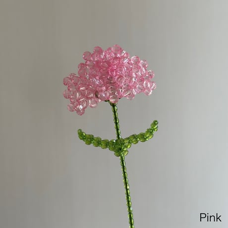 Carnation 1p