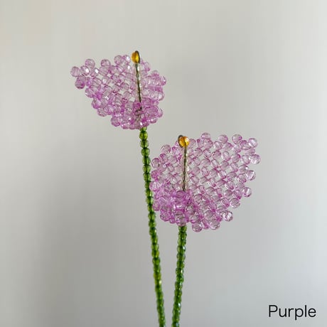 Anthurium 2 piece set