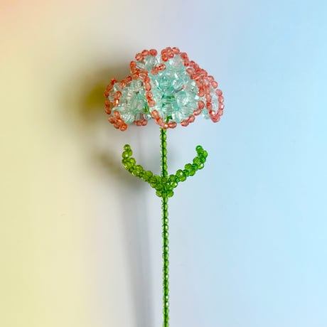 Double color carnation / Mint blue × Orange