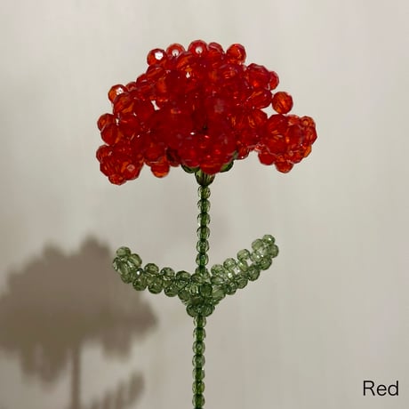 Carnation 1p