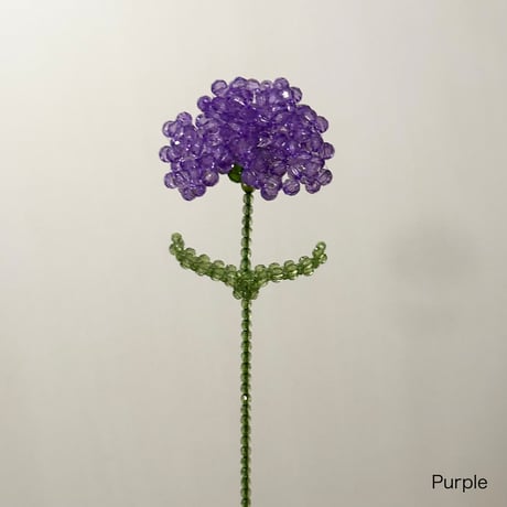 Carnation 1p